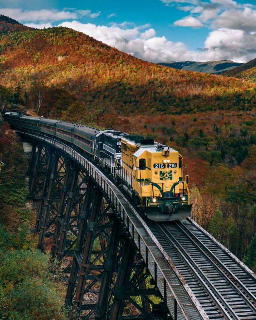 martin-sanchez-pfkzBUh4KyA-unsplash